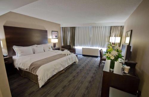 Downtown Winnipeg Hotel | Radisson Hotel Winnipeg Downtown