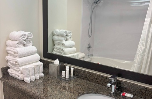 Downtown Winnipeg Hotel | Radisson Hotel Winnipeg Downtown