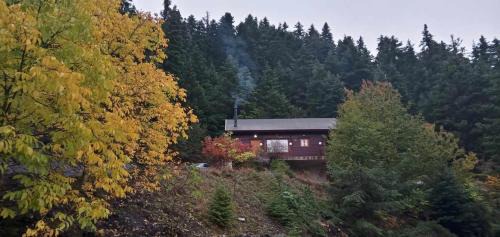 Gortynia Ski Chalet | Rados chalet