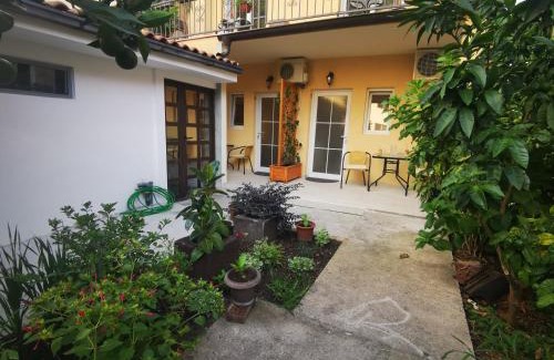 Bijeli do Apartment | Radović Apartments