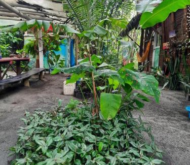 Mompiche House | Raices Mompiche