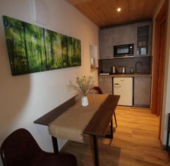 Hechingen Apartment | Raichberg Appartements