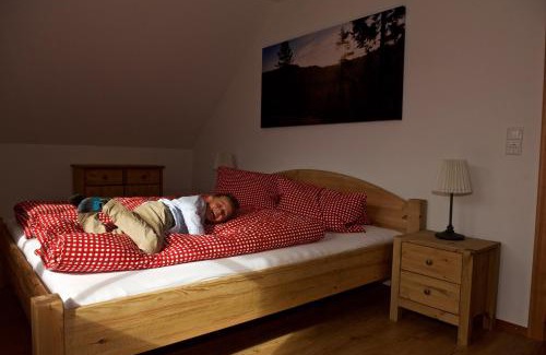 Gloednitz House | Rainbachhütte-Waldgut Granig