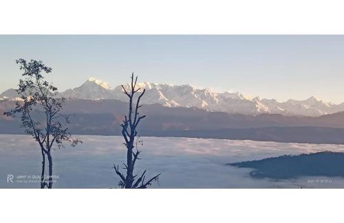 Kausani House | Rainbow Homestay, Kausani