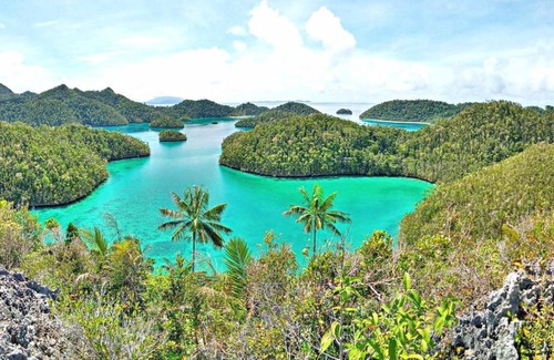 Sorong Boat Rental | Raja ampat travel