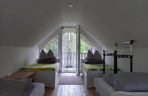 Ziogeliai House | Ramintos miško namelis