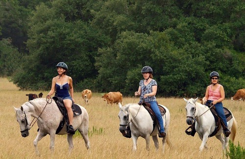 Cat Spring House | Ranch House Studio Romantic Getaway in Texas with Optional Fun Ranch Activities!