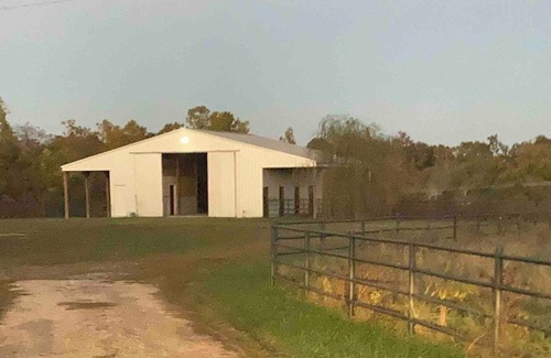 Siloam Springs House | Ranch time w Bronco & Betsey!