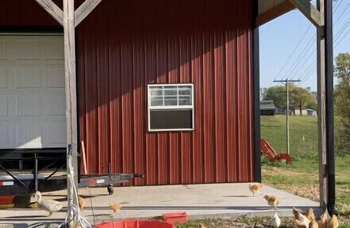 Siloam Springs House | Ranch time w Bronco & Betsey!