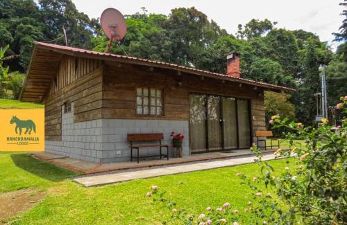 Cirri Sur Hotel | Rancho Amalia