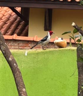Bariri Villa | Rancho Vale do Tietê