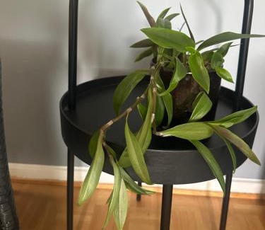 Savonlinna Apartment | Rantaraitti