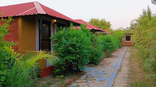 Sawai Madhopur Cabin | Ranthambhore Tiger Valley