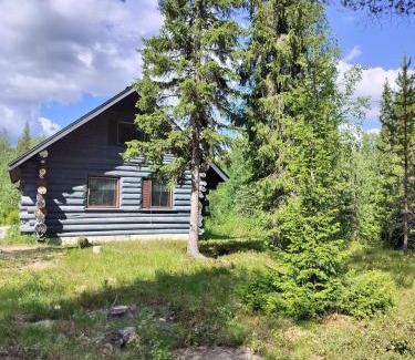 Yllasjarvi Apartment | Rapula 1makuuhuone ja parvi