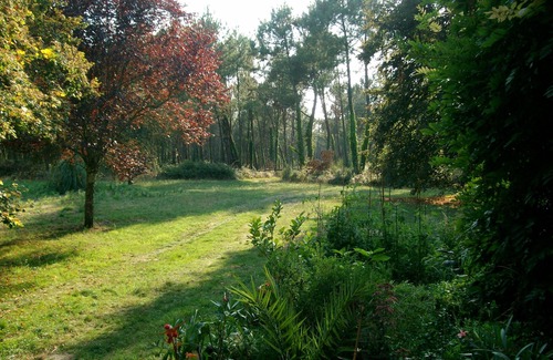 Sos House | Rare forest house (1290ft², bedroom 485ft²), untouched nature with swimming lake