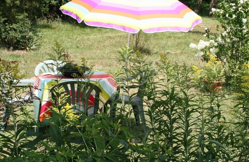 Sos House | Rare forest house (1290ft², bedroom 485ft²), untouched nature with swimming lake