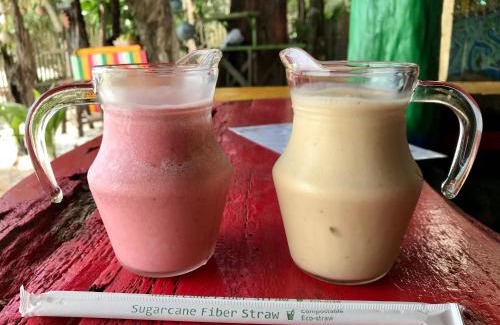 Ranong House | Rasta Baby Bar & Bungalows - Suitable for young travelers