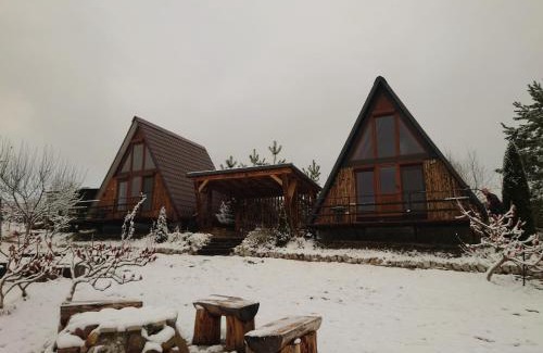 Ramet House | Razele Trascaului