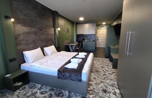 Studentski Grad Apartment | RCR Einstein studios 3