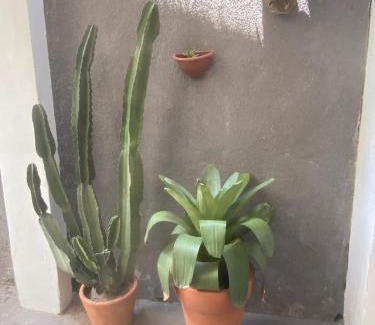 Jardim Flamboyant House | Recanto das Palmeiras