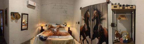Sinop House | Recanto do sossego