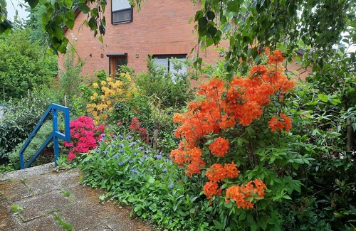 Hannoversch Munden Apartment | Recovery from stress