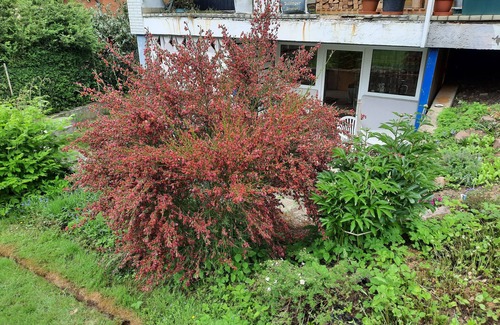 Hannoversch Munden Apartment | Recovery from stress