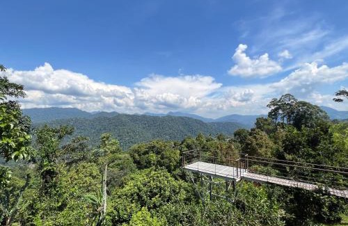 Bukit Tinggi Villa | Red House the Garden Stay in Bukit Tinggi by PLAY