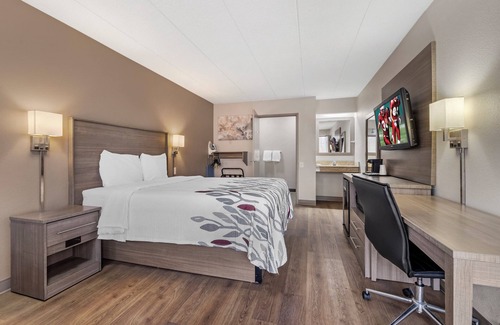 Parsippany Hotel | Red Roof Inn Parsippany