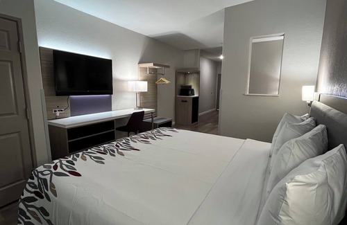 North San Antonio - SAT Hotel | Red Roof PLUS+ San Antonio Northeast