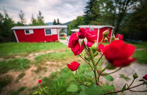 Gura Humorului Other | RED Tiny Houses