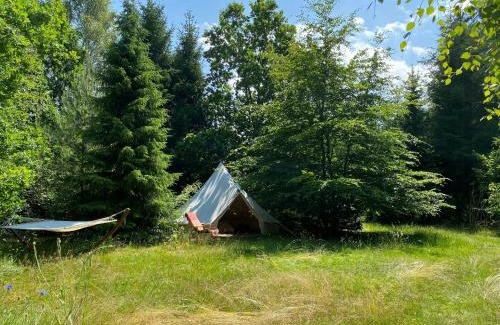Ramlose House | Red Wood House Within Frederiksværk's Nature