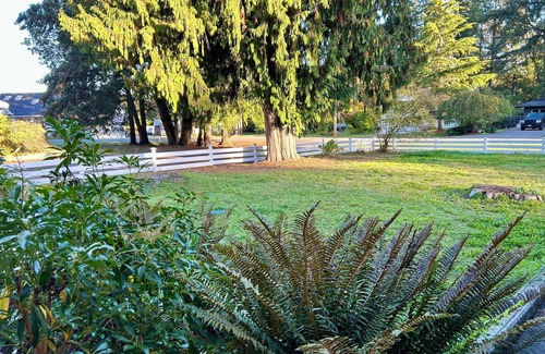 Regional District of Nanaimo House | Reduced rate long-term vacation rental if you can keep our lovely cat company