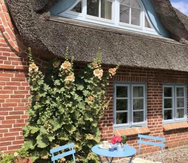 Stenderup Apartment | Reetkate in der Natur