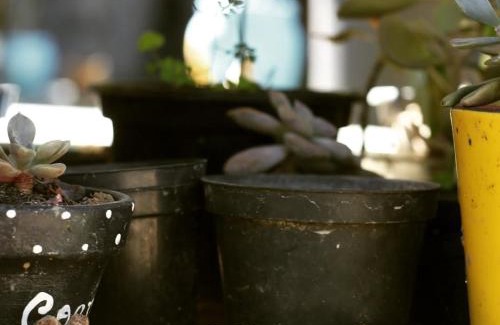 Macae Bed & Breakfast | Refúgio Boa Sorte , Sana -Macaé RJ