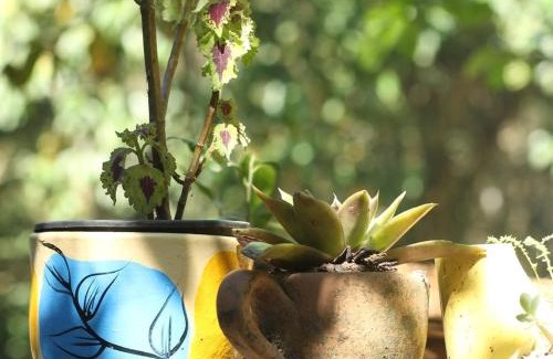 Macae Bed & Breakfast | Refúgio Boa Sorte , Sana -Macaé RJ