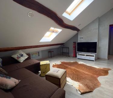 Bellegarde-sur-Valserine Apartment | RefletDesCieux TV Chic Authentique Lumineux Calme