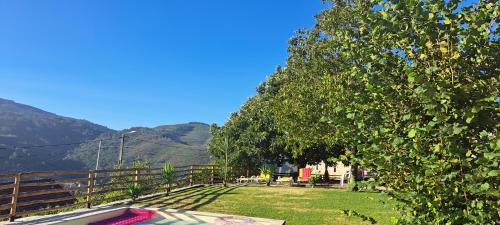 Bico House | Refugio dos Cartolas