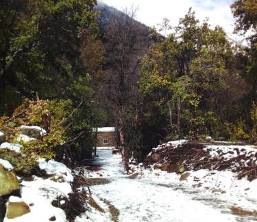 Linares Other | Refugio El Hualo y La Huala del Achibueno