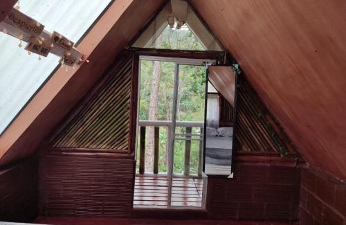 El Colegio Other | Refugio los naranjales