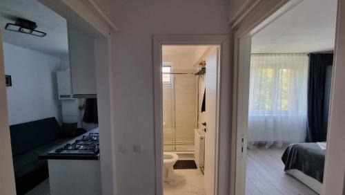 Hunedoara Apartment | Refugiul Castelului