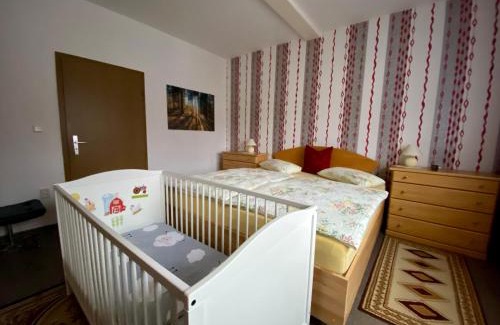 Zella-Mehlis Apartment | Regenbergblick