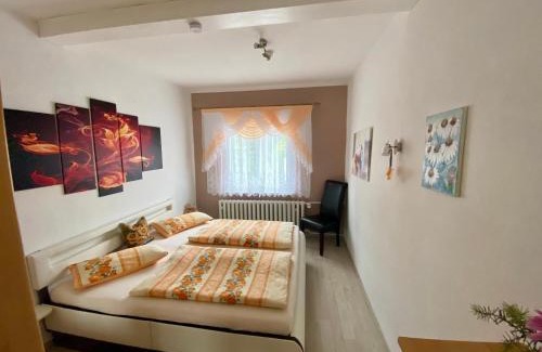 Zella-Mehlis Apartment | Regenbergblick