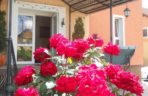 Baile Unu Mai House | Regent Welcome