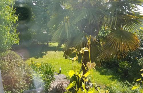Grenzach-Wyhlen Apartment | Regio Basiliensis