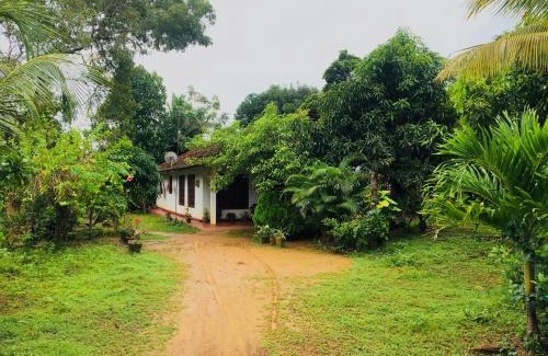 Rekawa House | Rekawa edge Home stay