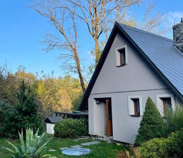 Dolni Moravice Ski Chalet | Rekreační horská chata na Nové Vsi 90