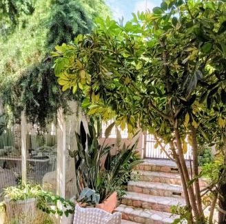 Sant'Agata de'Goti Bed & Breakfast | Relais L'Eucalipto