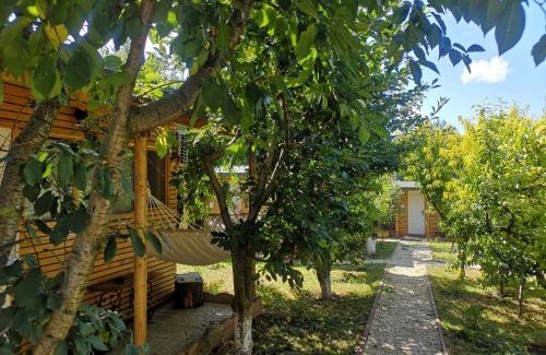 Constanta Cabin | Relax Eaza - Casa cu Hamac