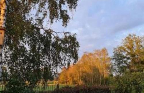 IJzerlo House | Relax, Explore, and Dine in Aalten, cleaning included